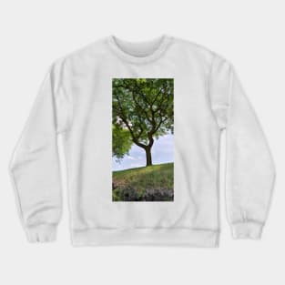 Terra Cont'd Crewneck Sweatshirt